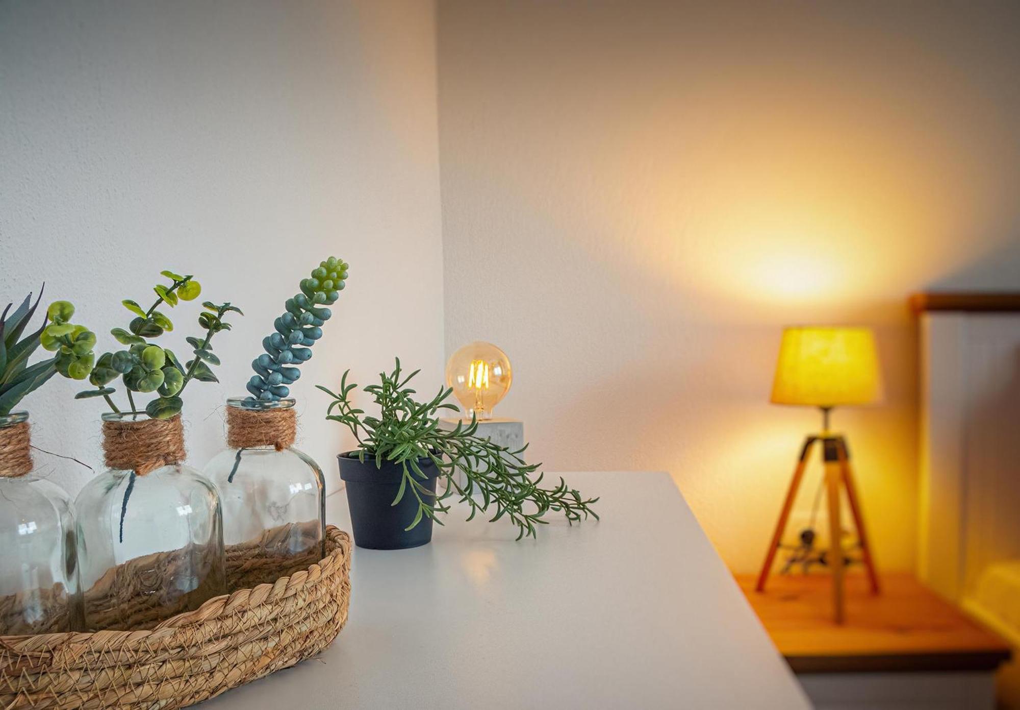 Apartamento Zefyros *